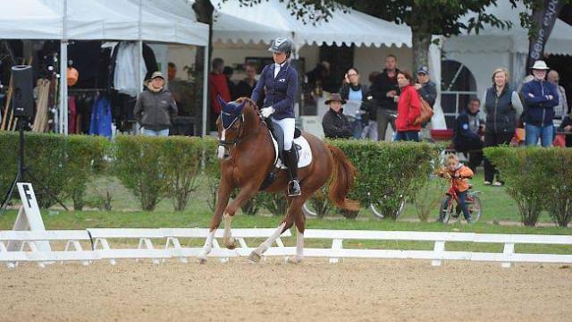 dressage-saumur-les-alezans-menent-la-danse