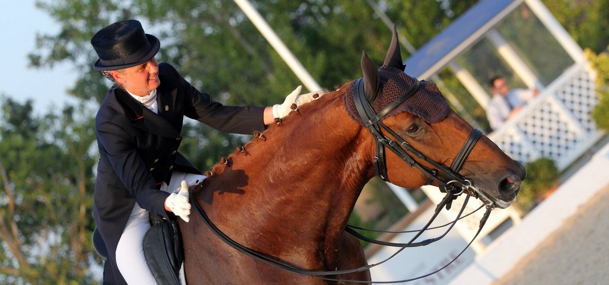 Chevaux-de-dressage-Isabelle et Carlos Pinto-Darwin-de-Pic