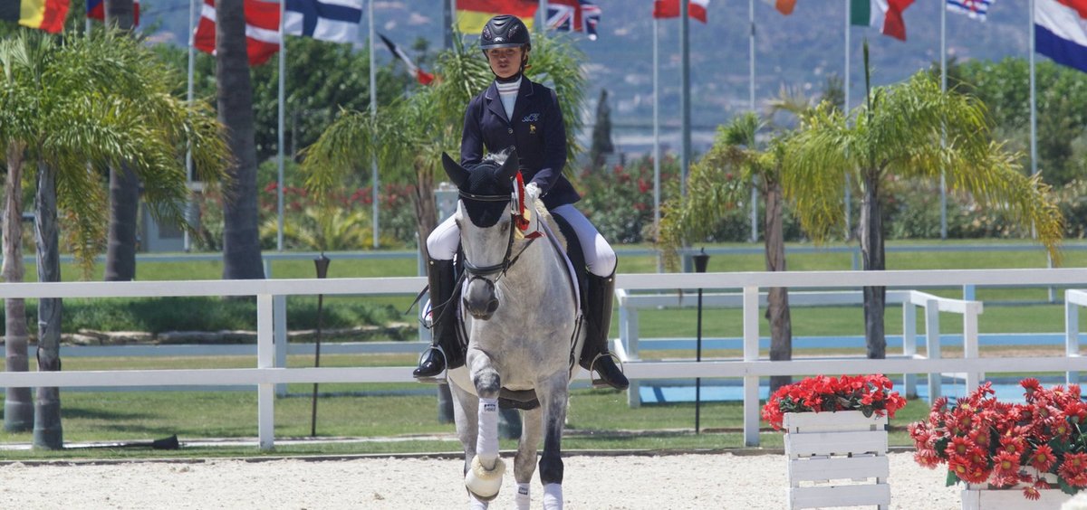 cheval de dressage a vendre