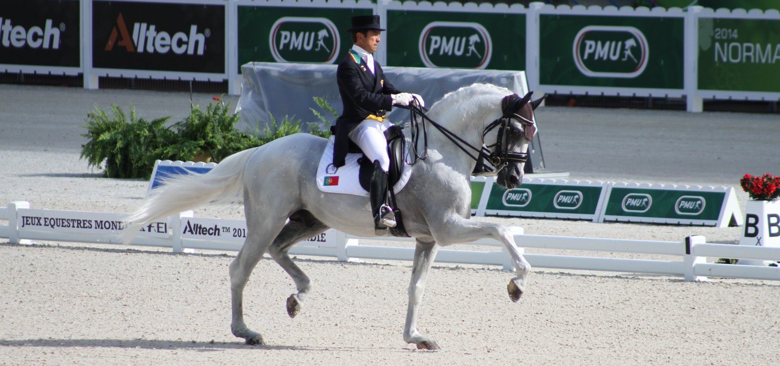 Carlos Pinto dressage équitation