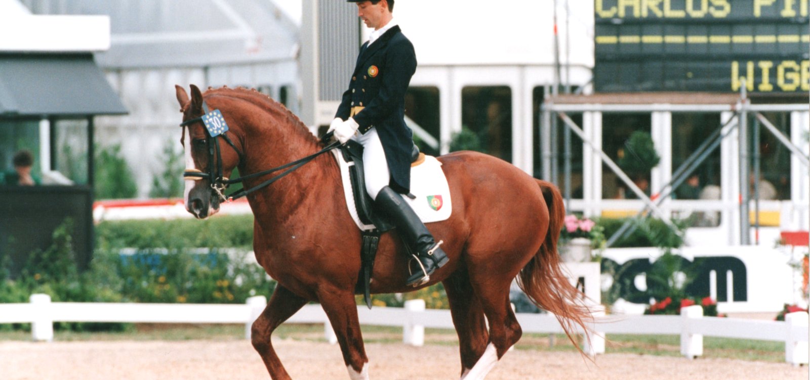 Carlos Pinto dressage équitation