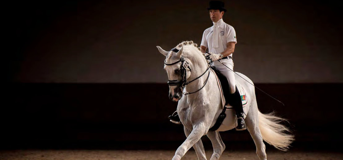 Carlos Pinto dressage équitation