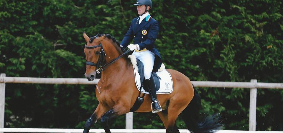 Carlos Pinto dressage équitation