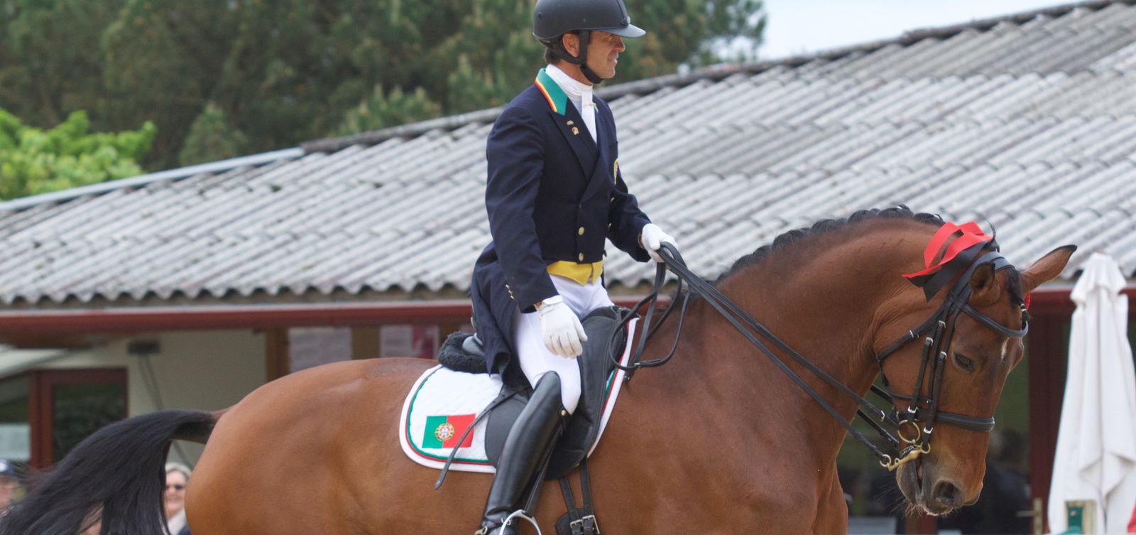 Carlos Pinto dressage équitation