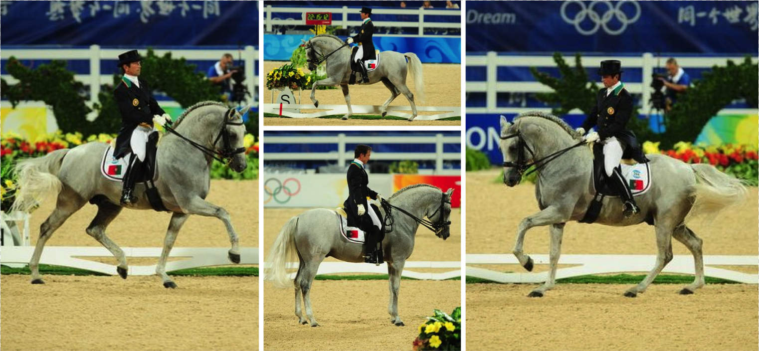 Carlos Pinto dressage équitation