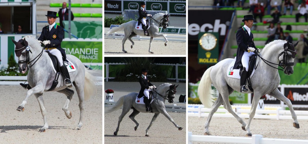 Carlos Pinto dressage équitation