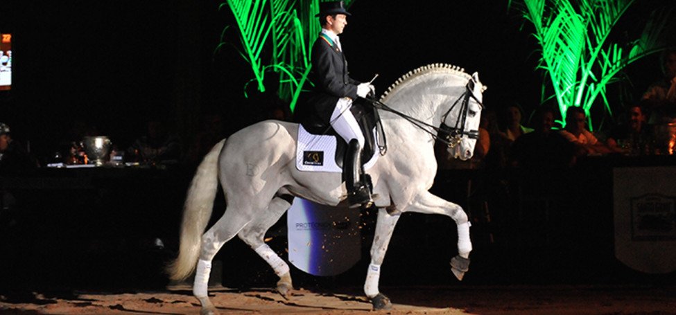 Carlos Pinto dressage équitation