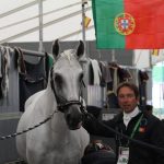 SOBERANO III - Jeux équestres Mondiaux 2014