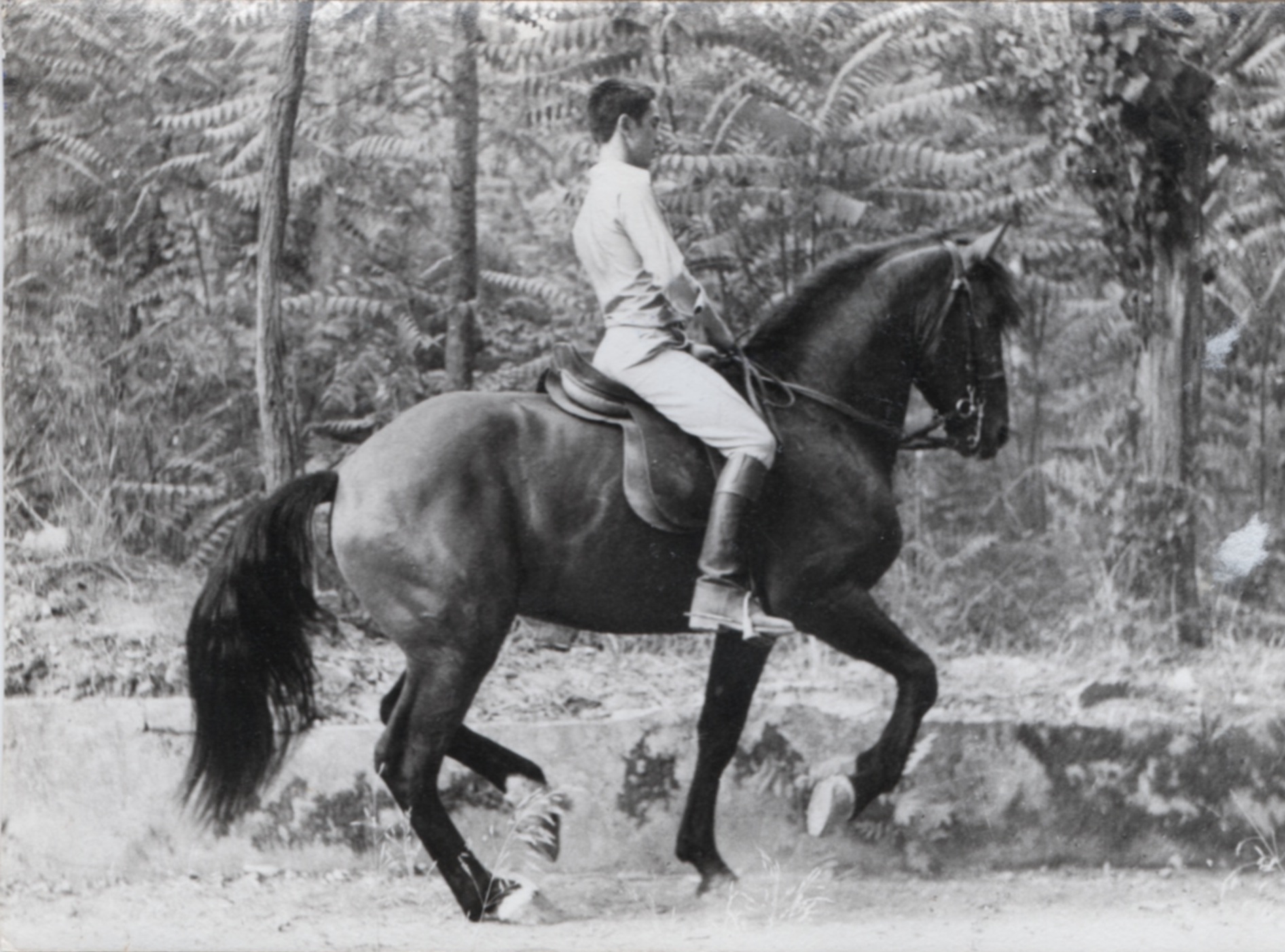 Carlos Pinto à 16 ans