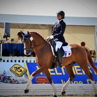 Isabelle Pinto et Sultan des Paluds aux Championnats du Monde des jeunes chevaux à Verden