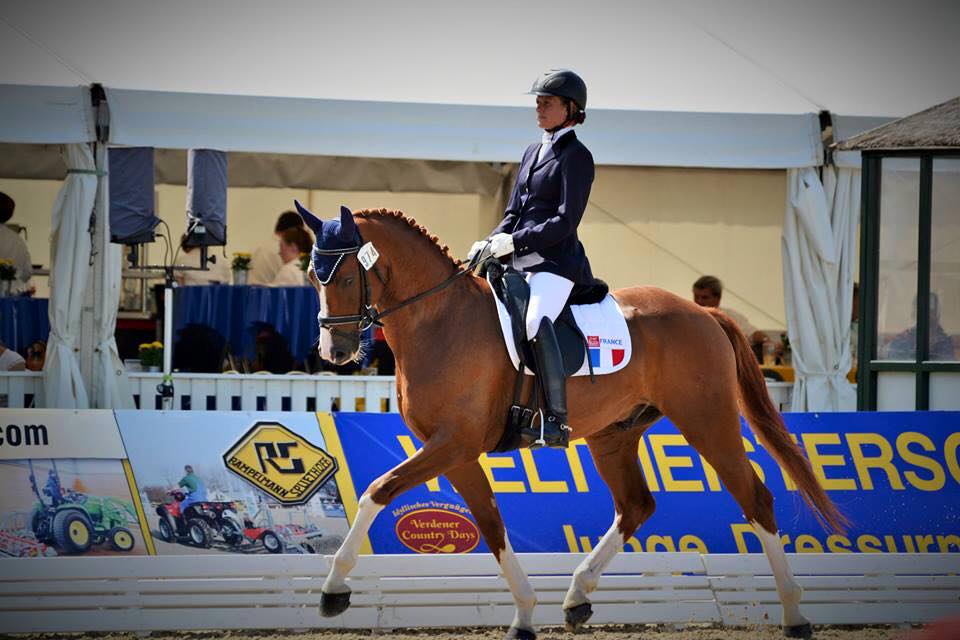 Isabelle Pinto et Sultan des Paluds - Championnats du Monde des jeunes chevaux à Verden