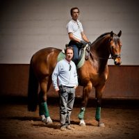 Cours et stages dressage